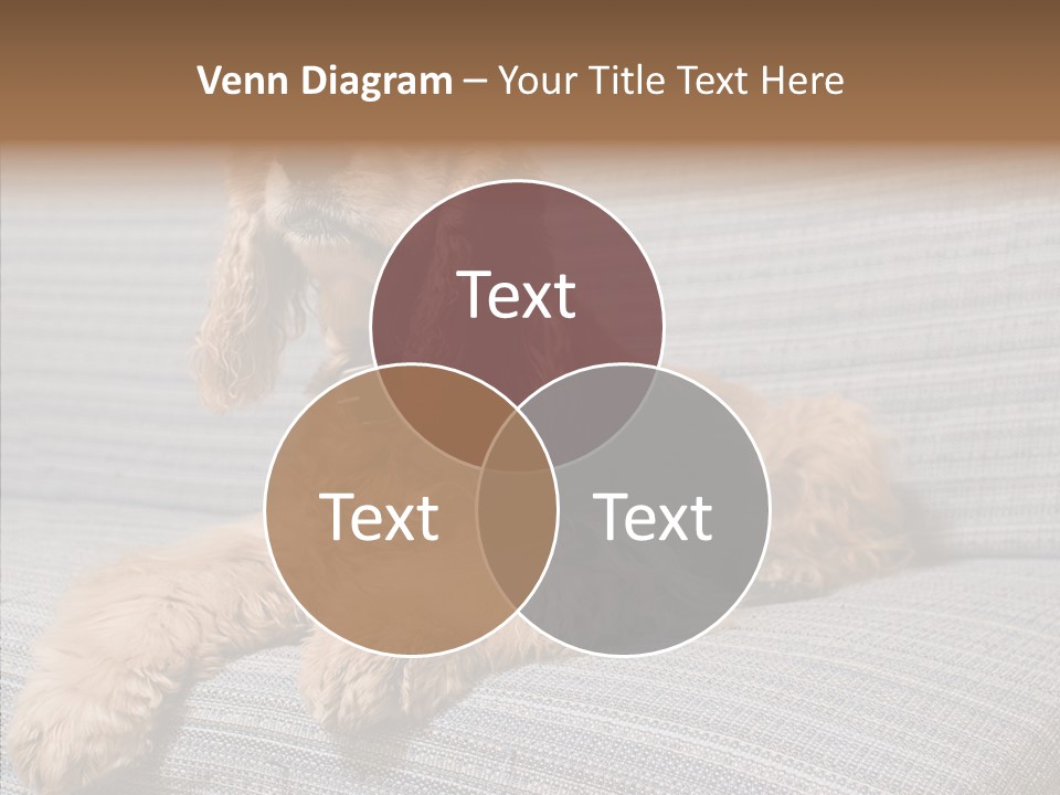 Care Grandmother Finger PowerPoint Template