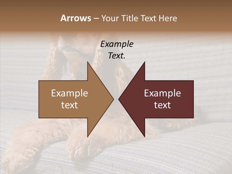 Care Grandmother Finger PowerPoint Template