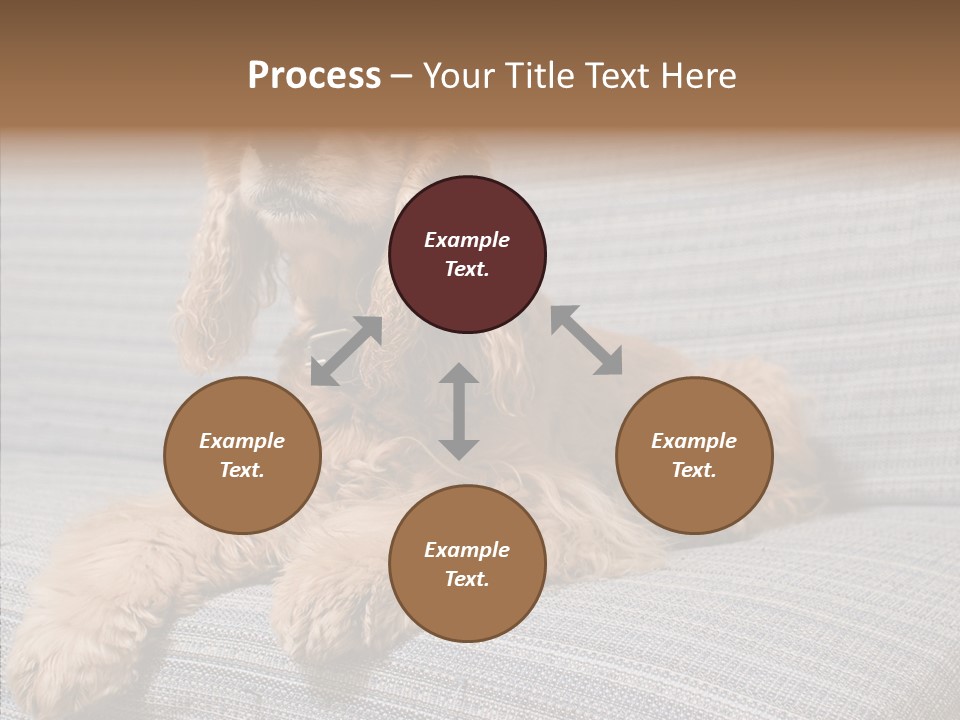 Care Grandmother Finger PowerPoint Template