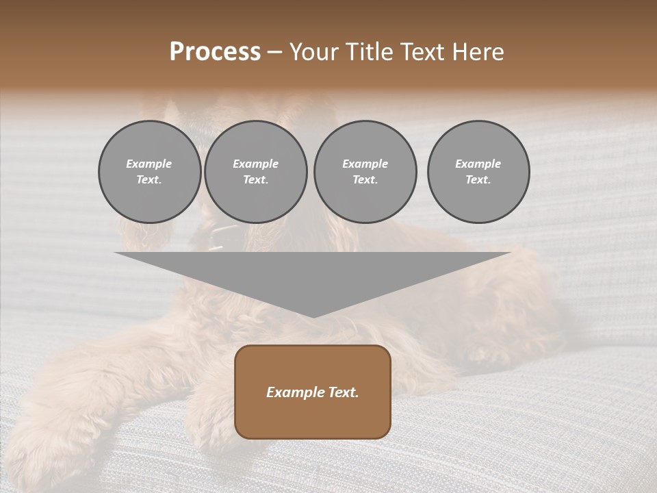 Care Grandmother Finger PowerPoint Template