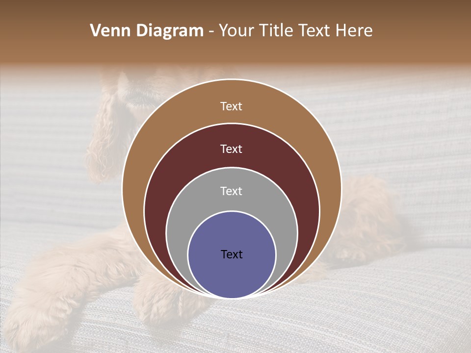 Care Grandmother Finger PowerPoint Template