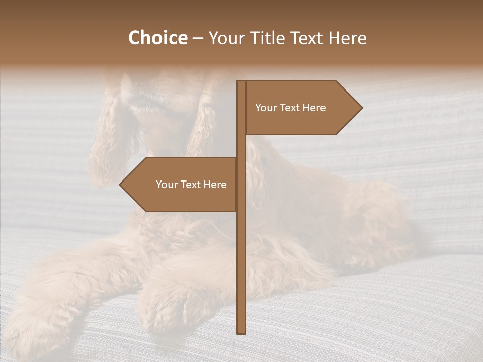 Care Grandmother Finger PowerPoint Template