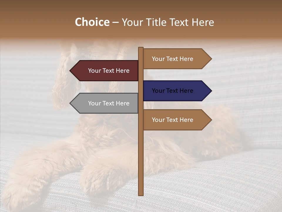 Care Grandmother Finger PowerPoint Template