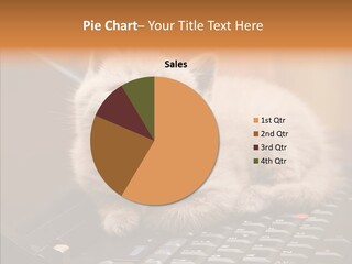 Human Finger Assist PowerPoint Template