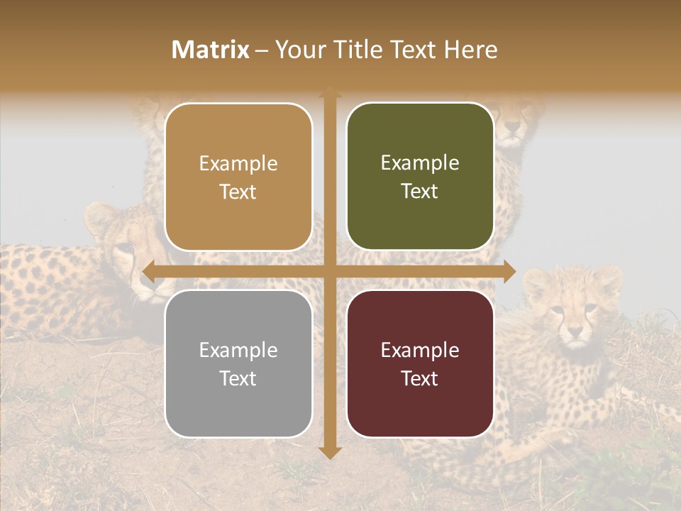 Assistance Elderly Help PowerPoint Template