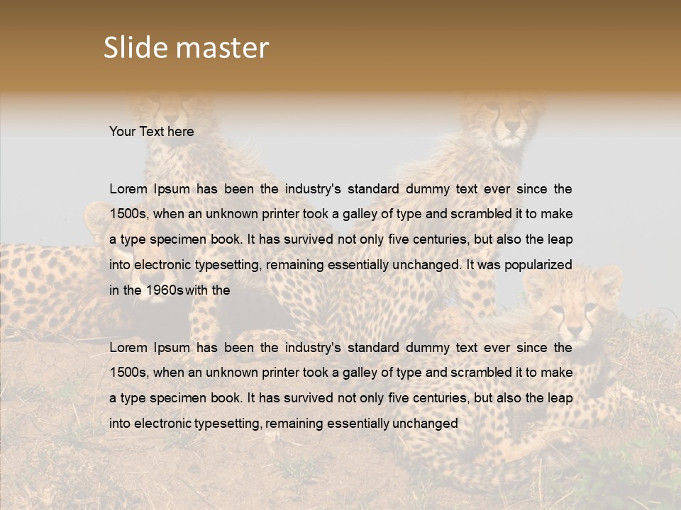 Assistance Elderly Help PowerPoint Template