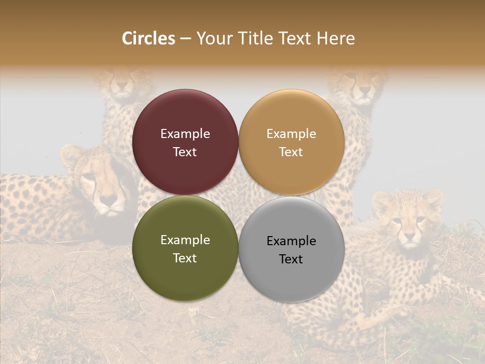 Assistance Elderly Help PowerPoint Template
