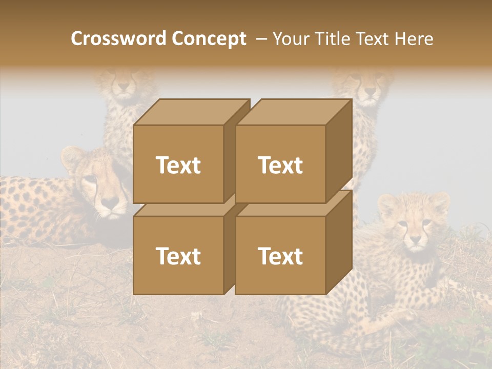 Assistance Elderly Help PowerPoint Template