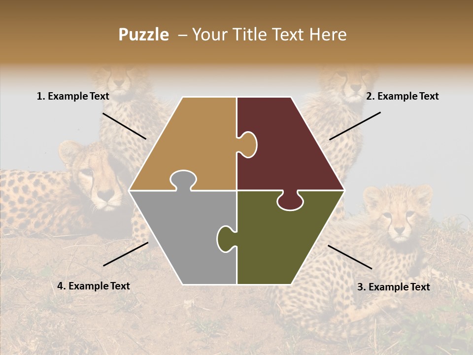 Assistance Elderly Help PowerPoint Template