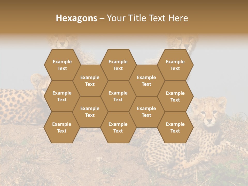 Assistance Elderly Help PowerPoint Template