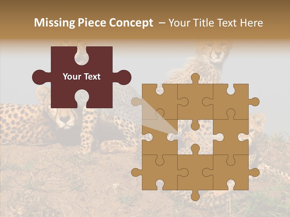 Assistance Elderly Help PowerPoint Template