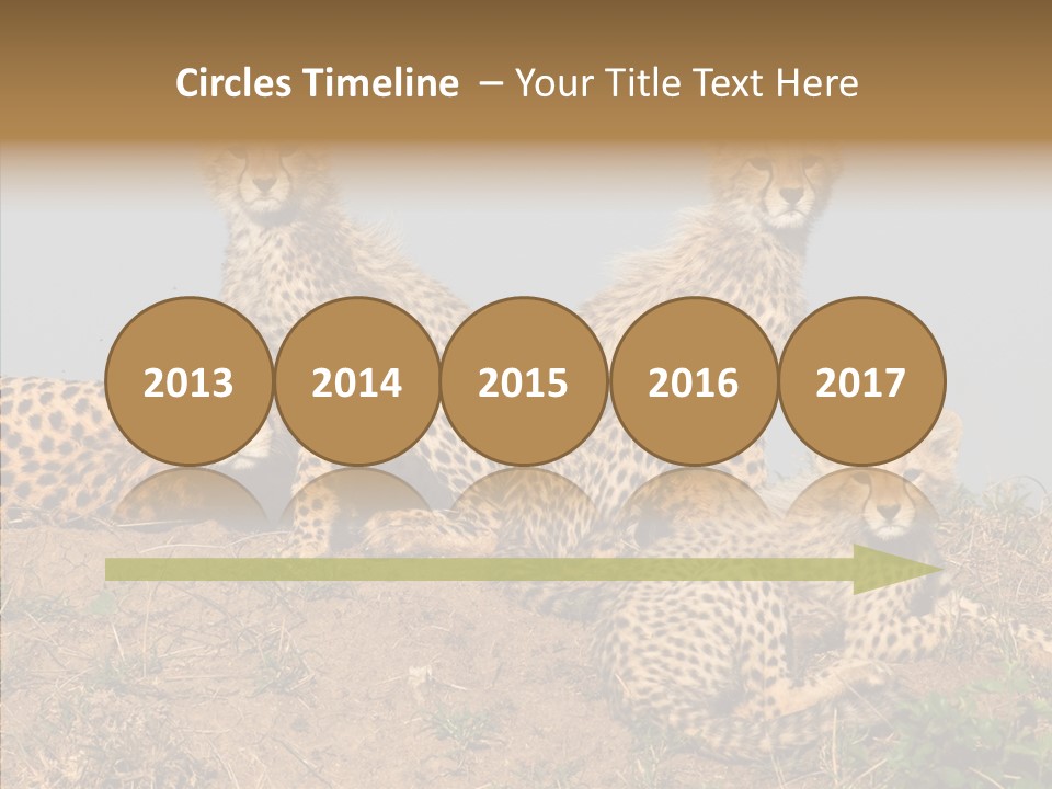 Assistance Elderly Help PowerPoint Template