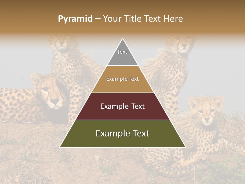 Assistance Elderly Help PowerPoint Template