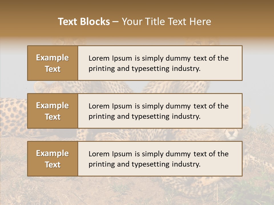 Assistance Elderly Help PowerPoint Template