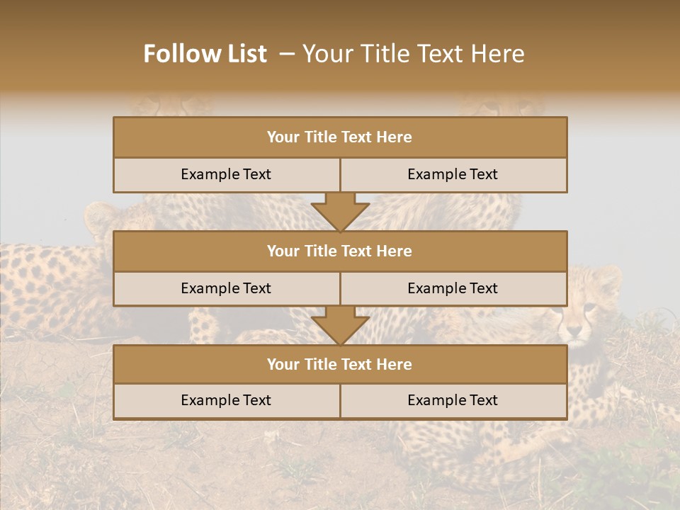 Assistance Elderly Help PowerPoint Template