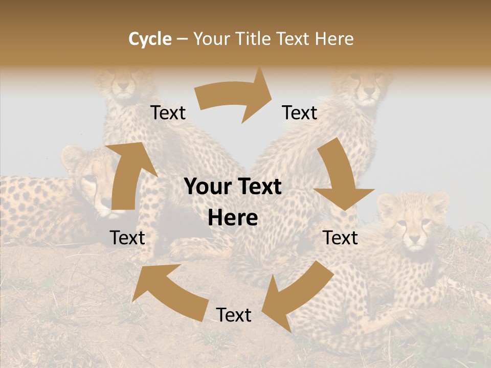 Assistance Elderly Help PowerPoint Template