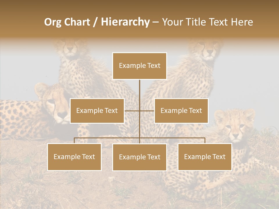Assistance Elderly Help PowerPoint Template