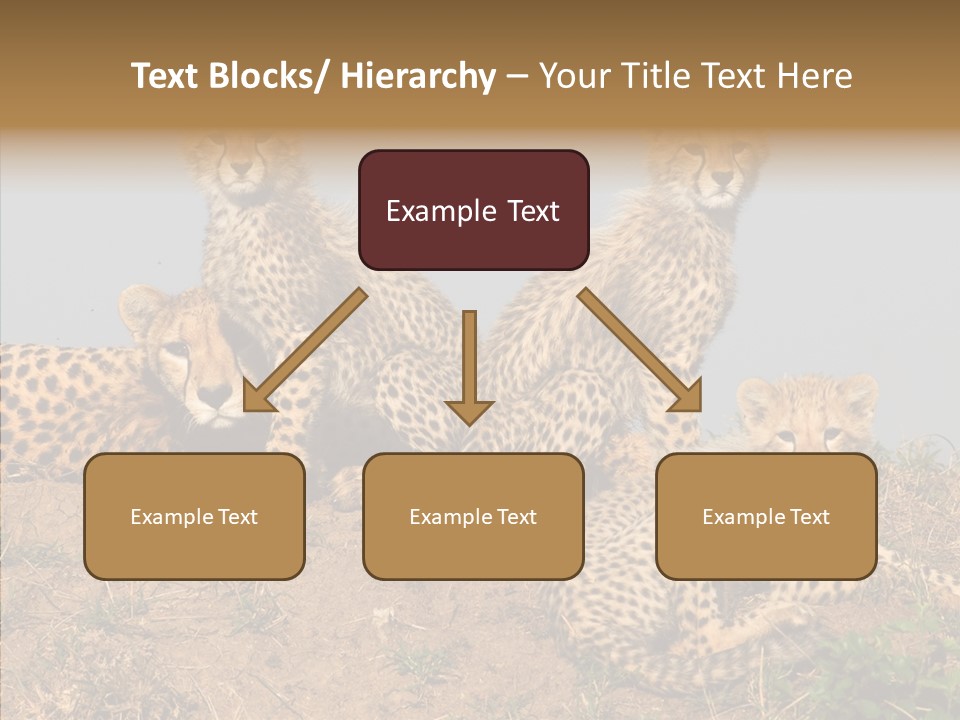Assistance Elderly Help PowerPoint Template