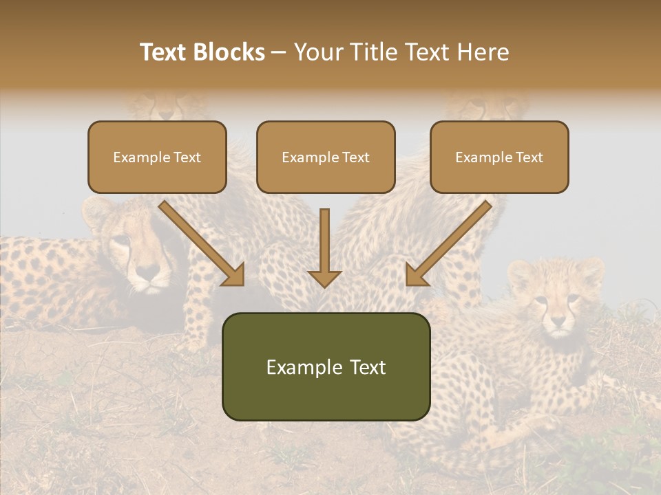 Assistance Elderly Help PowerPoint Template