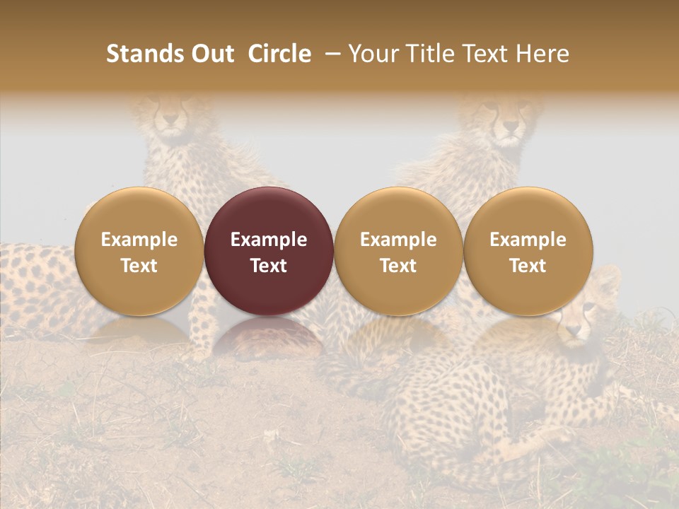 Assistance Elderly Help PowerPoint Template