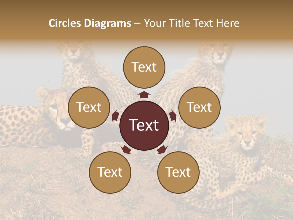 Assistance Elderly Help PowerPoint Template