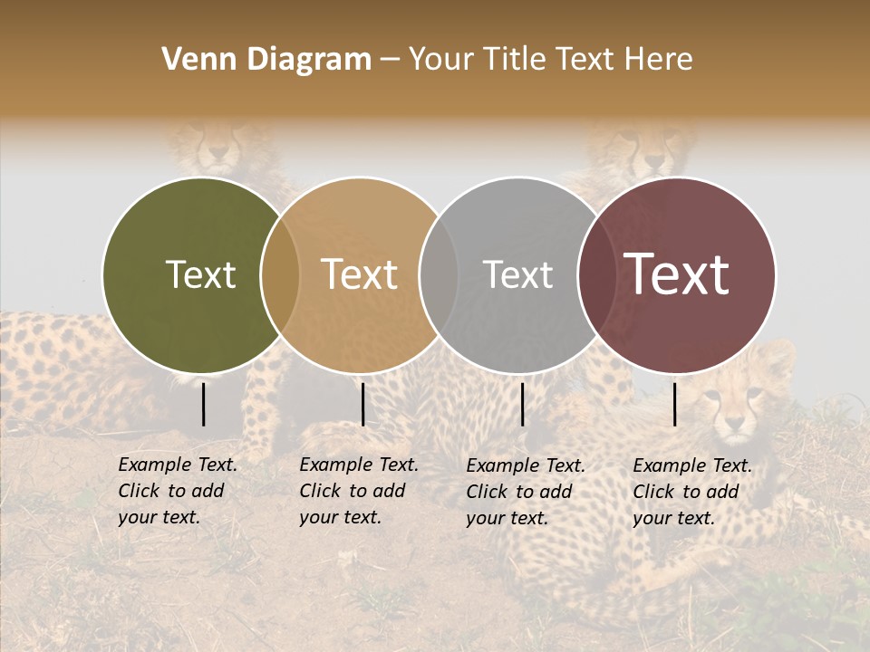 Assistance Elderly Help PowerPoint Template