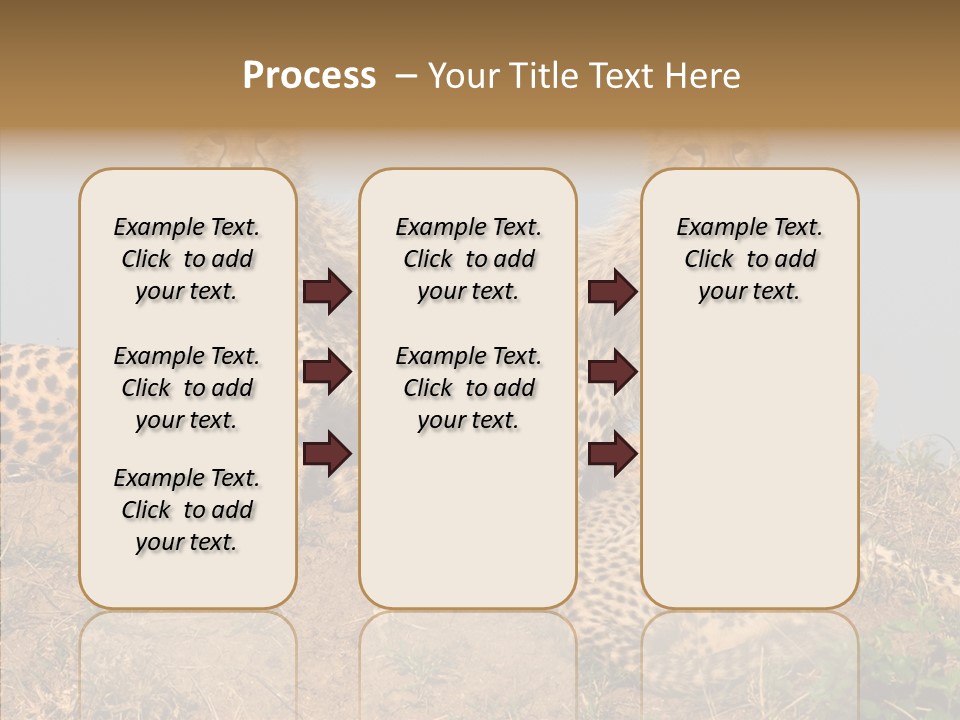 Assistance Elderly Help PowerPoint Template