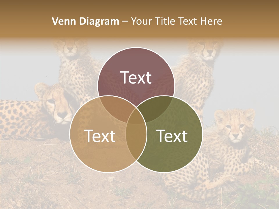 Assistance Elderly Help PowerPoint Template