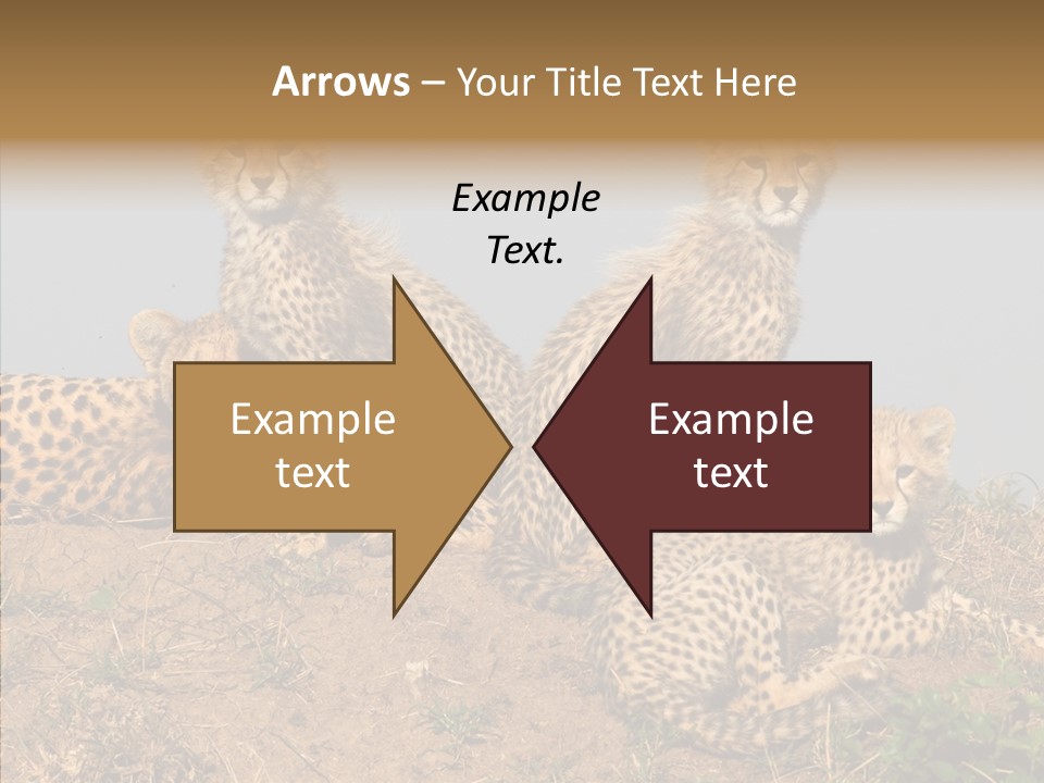 Assistance Elderly Help PowerPoint Template