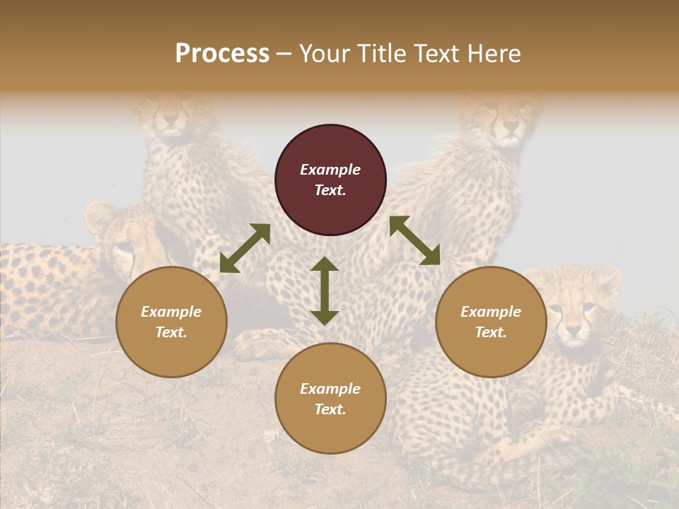 Assistance Elderly Help PowerPoint Template