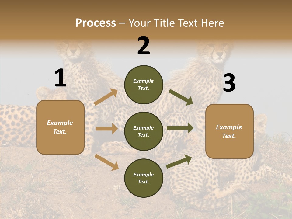 Assistance Elderly Help PowerPoint Template