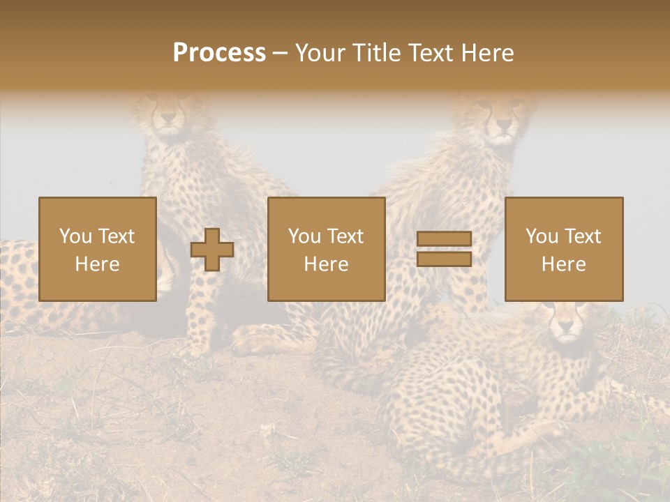 Assistance Elderly Help PowerPoint Template