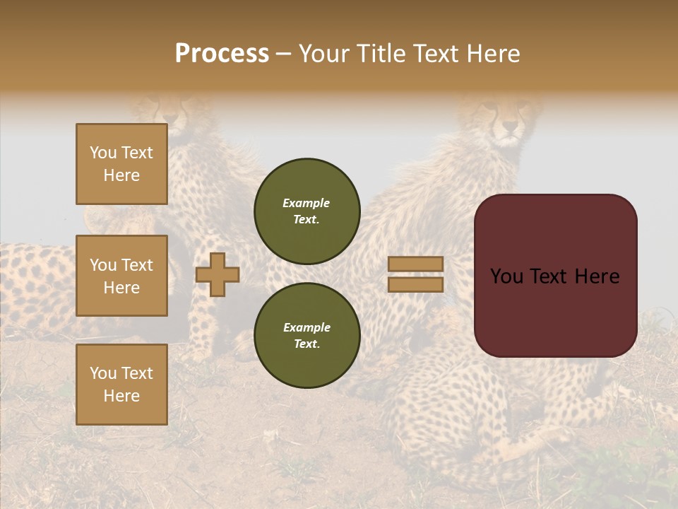 Assistance Elderly Help PowerPoint Template