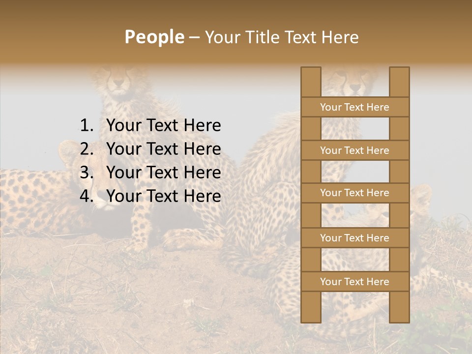 Assistance Elderly Help PowerPoint Template