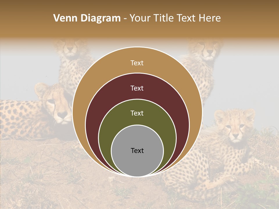 Assistance Elderly Help PowerPoint Template