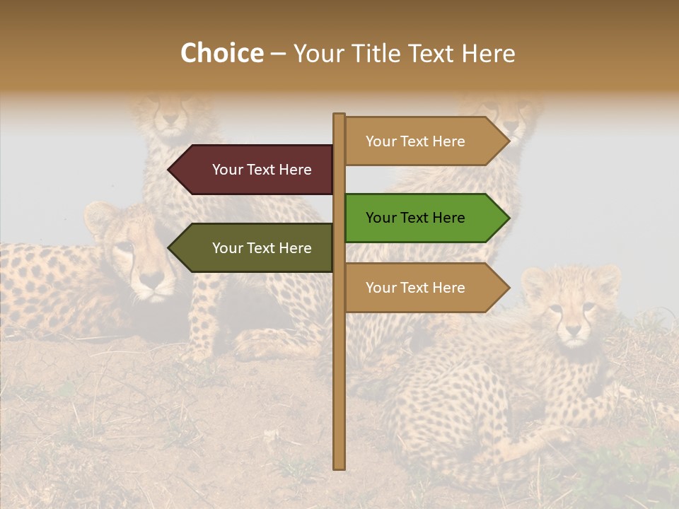 Assistance Elderly Help PowerPoint Template