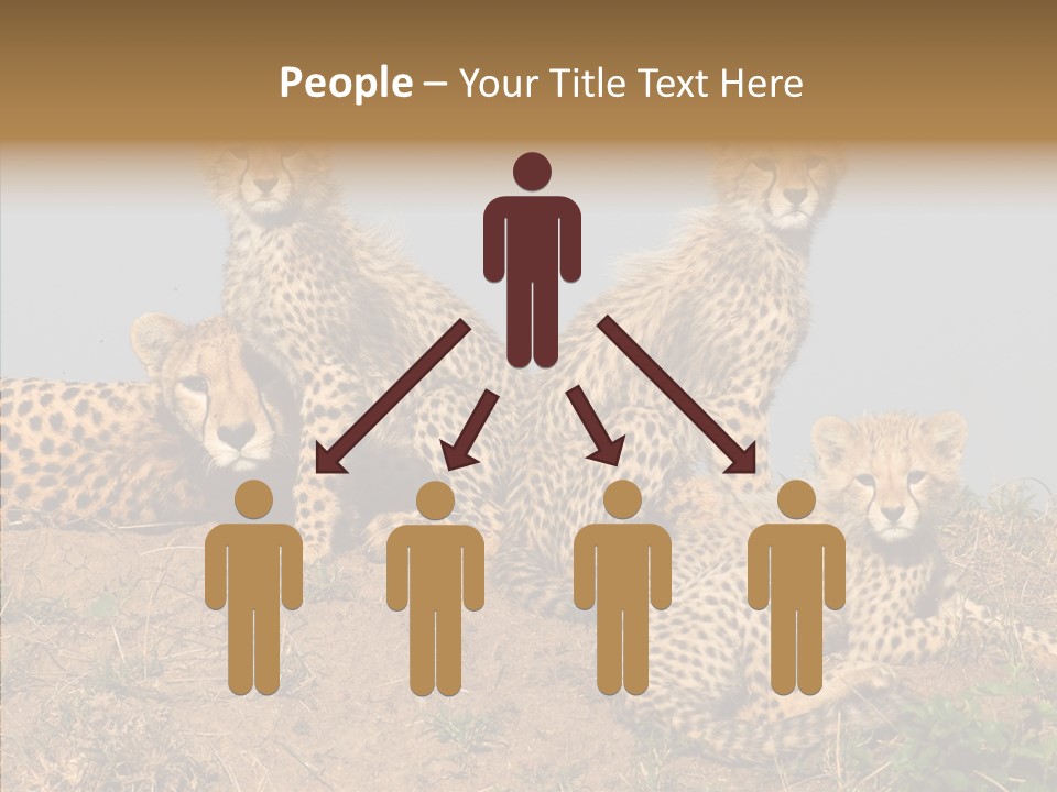 Assistance Elderly Help PowerPoint Template