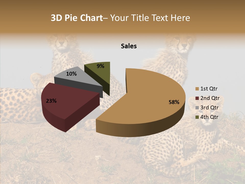 Assistance Elderly Help PowerPoint Template