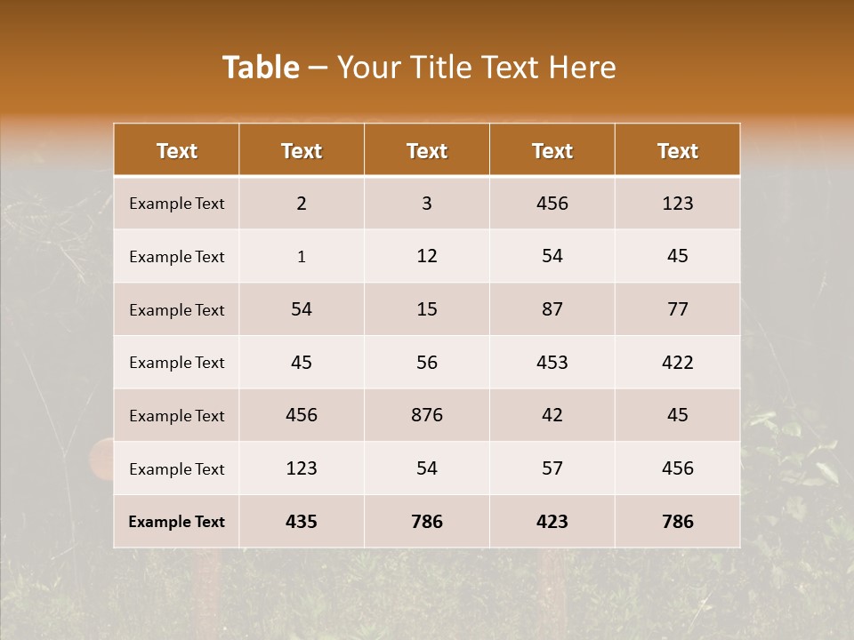 Touching Young Aging PowerPoint Template
