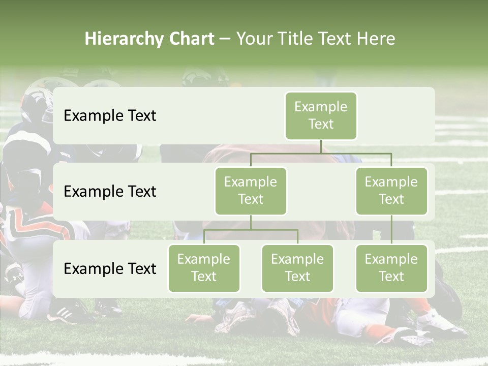 Aging Grandmother Hold PowerPoint Template