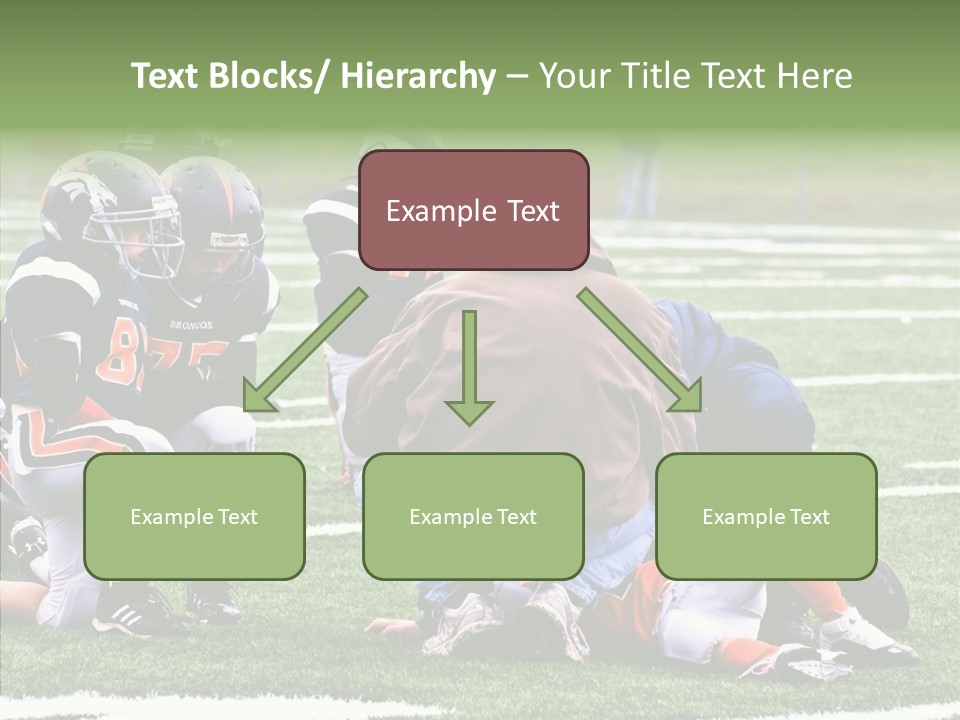 Aging Grandmother Hold PowerPoint Template