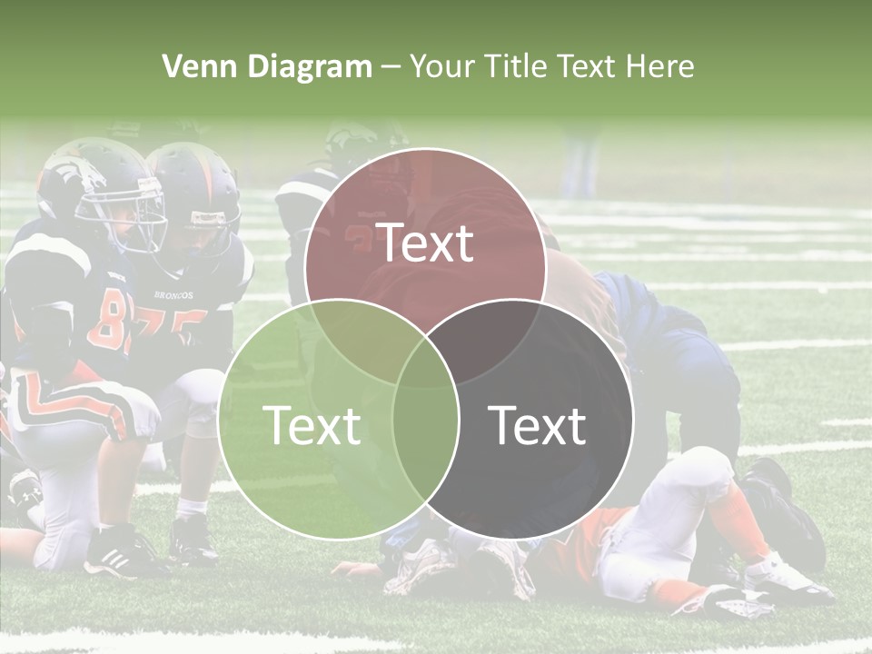 Aging Grandmother Hold PowerPoint Template