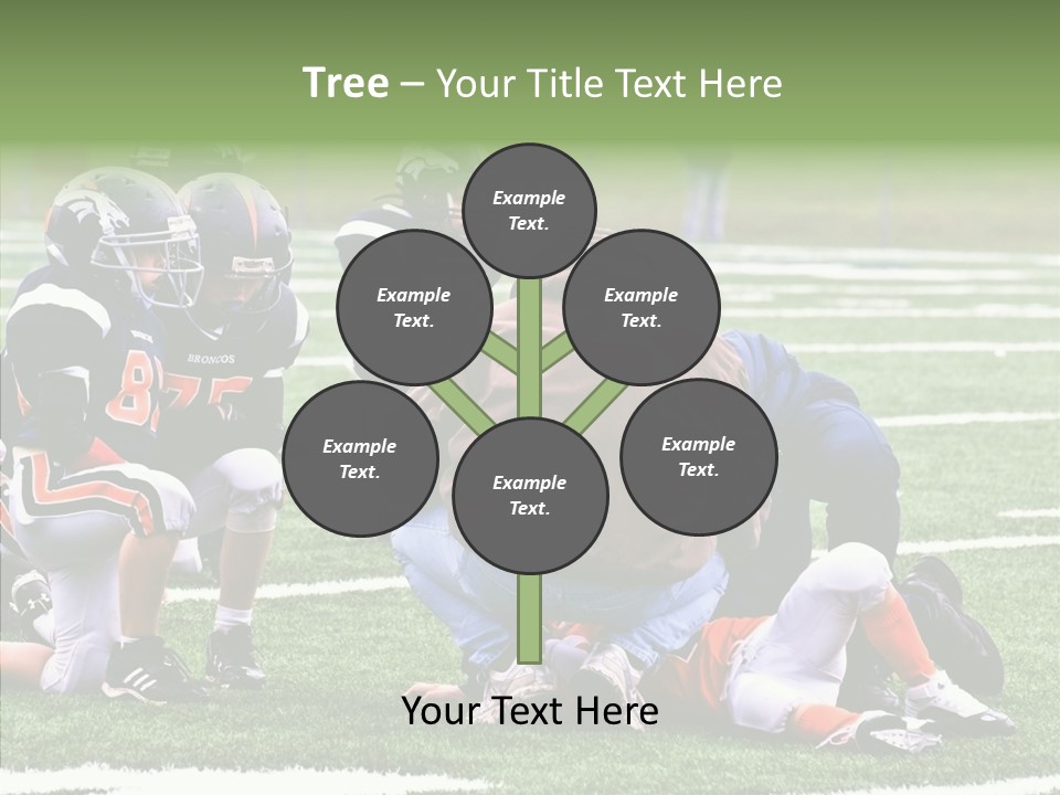 Aging Grandmother Hold PowerPoint Template