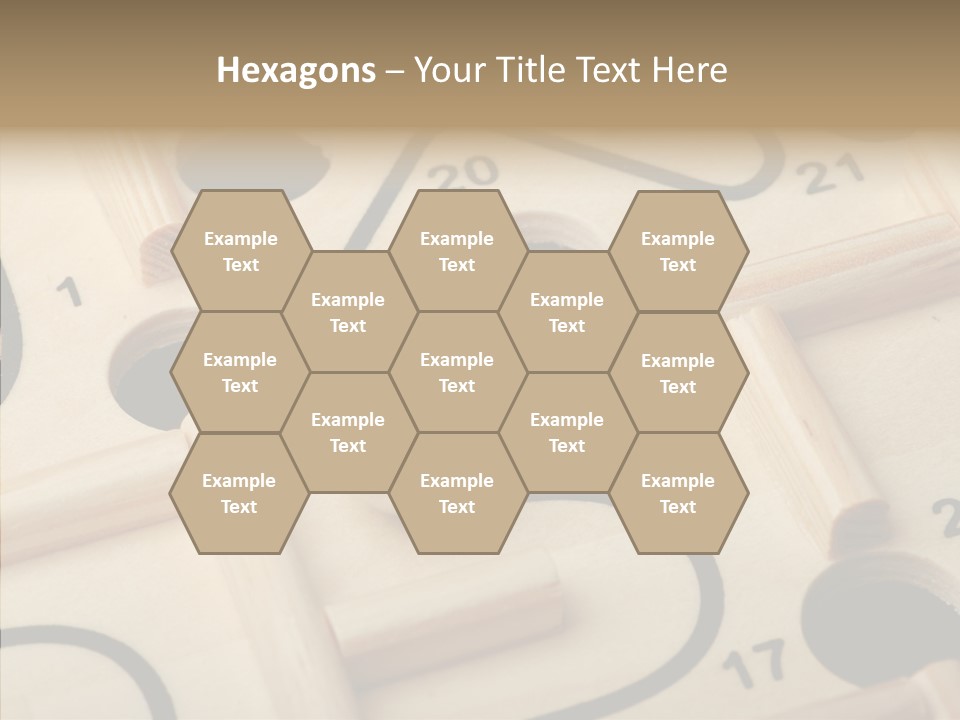 Female Aging Human PowerPoint Template