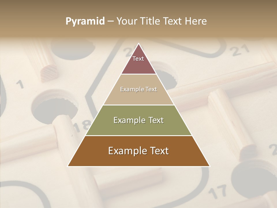 Female Aging Human PowerPoint Template