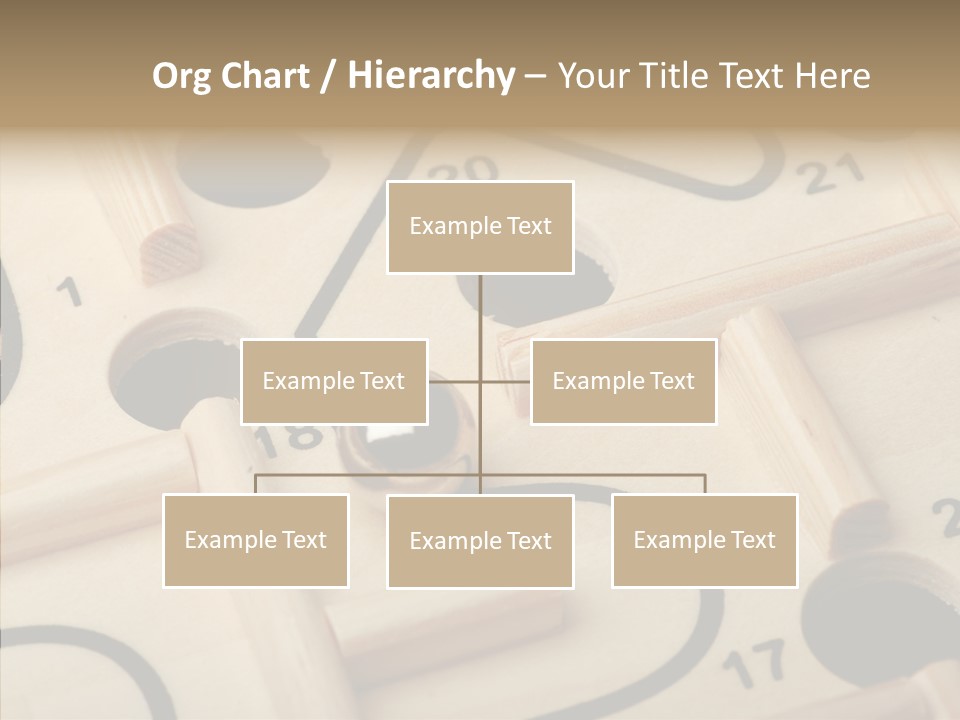 Female Aging Human PowerPoint Template