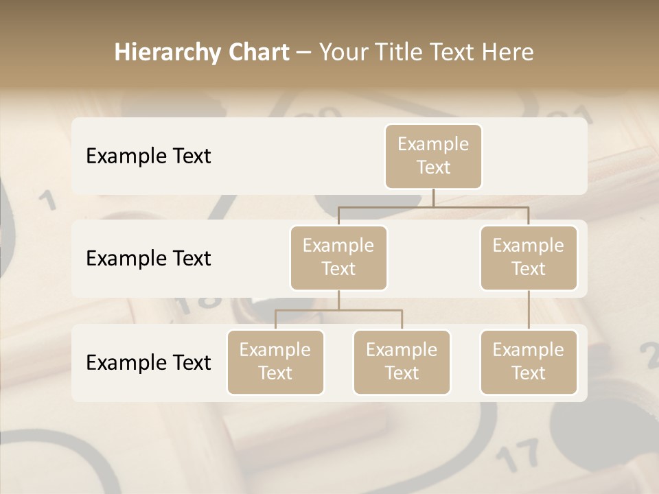 Female Aging Human PowerPoint Template