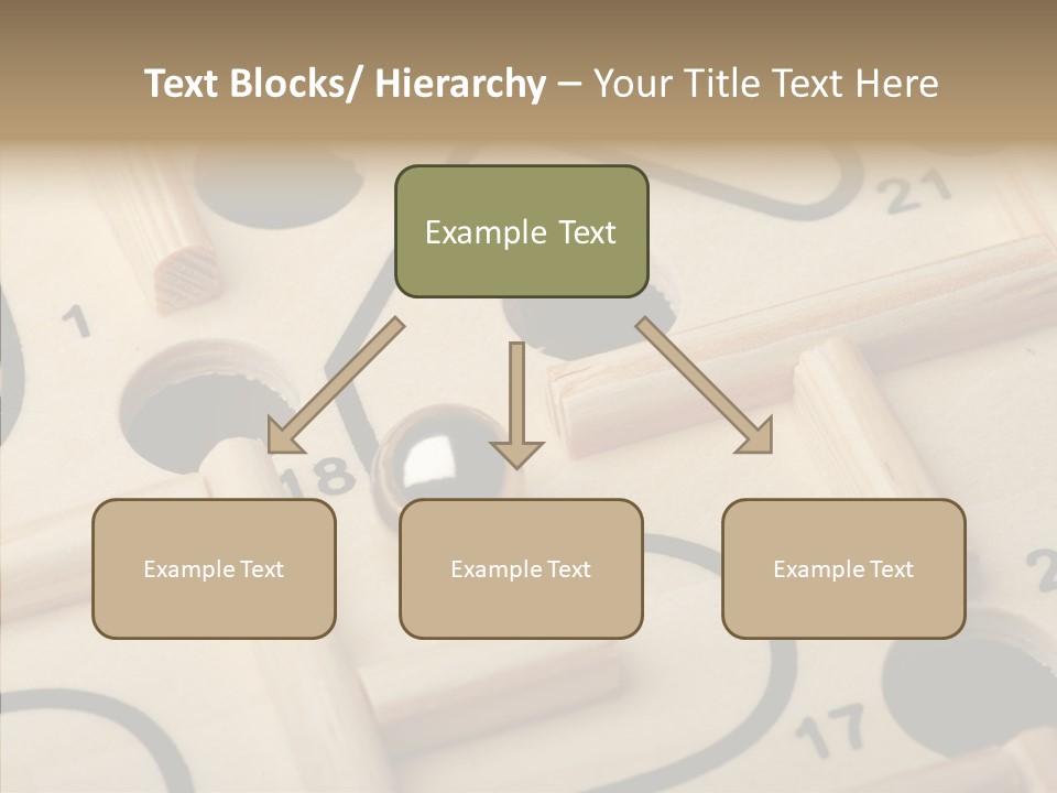 Female Aging Human PowerPoint Template