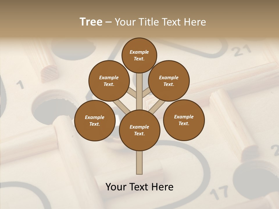 Female Aging Human PowerPoint Template