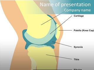 Touching Care Aging PowerPoint Template